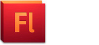 Adobe Flash Training